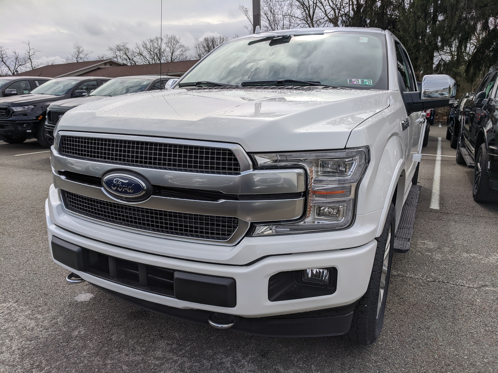 New 2020 Ford F-150 Platinum in Star White Metallic Tri-Coat ...