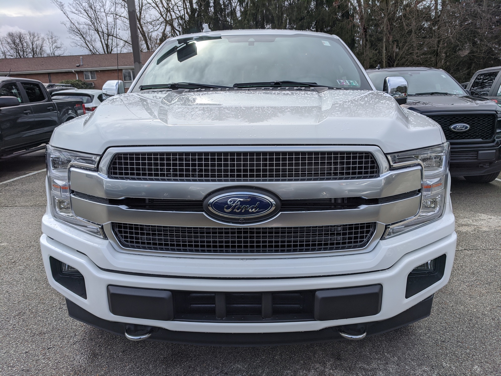 New 2020 Ford F-150 Platinum in Star White Metallic Tri-Coat ...