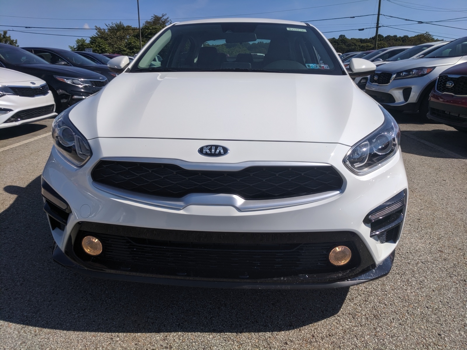 New 2020 Kia Forte LXS in Clear White | Greensburg, PA | #K04086